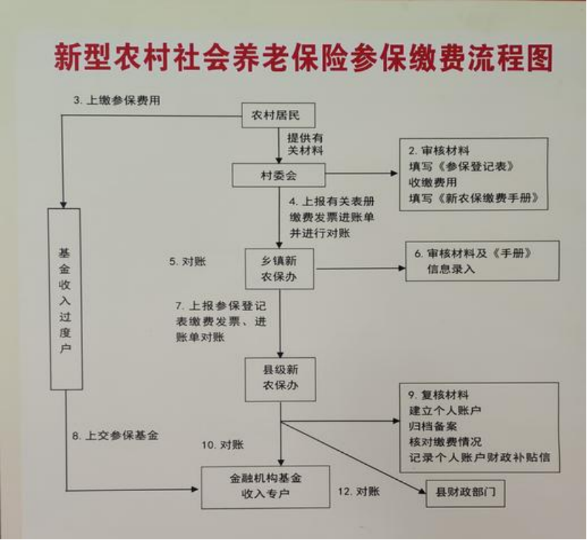三门峡农村医保和社保有什么区别(农村医保跟社保的区别)